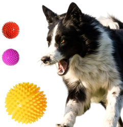 Piłka z wypustkami z winylu dla psa