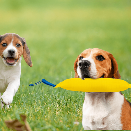 Gumowy gryzak dla psa