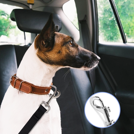 Podwójny pas bezpieczeństwa.