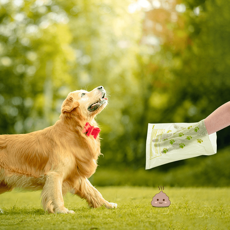 Worki na psie odchody 12 rolek 