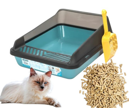 Kuweta dla kota niebieska