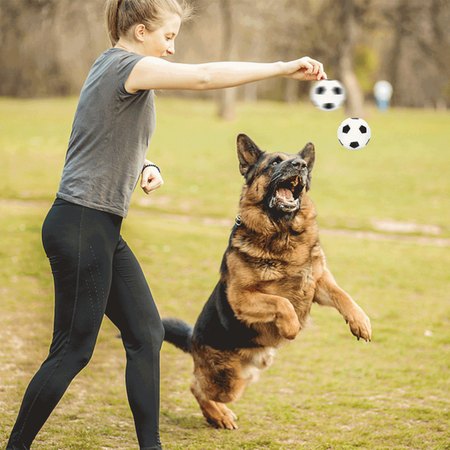  Piłka nożna zabawka dla psa 