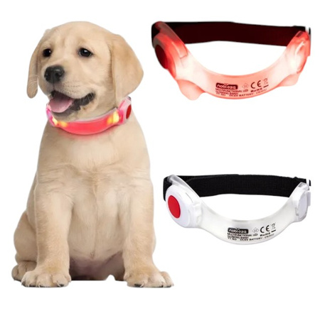 Obroża LED dla zwierząt