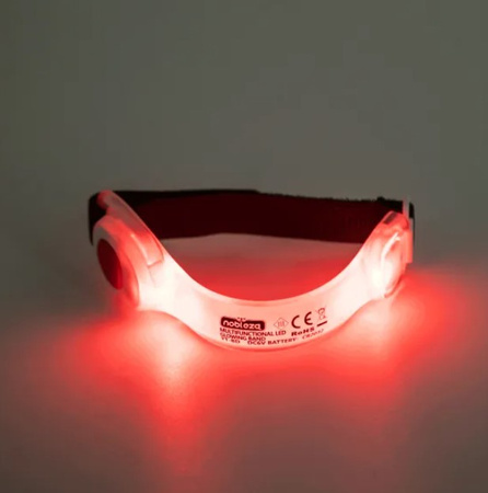 Obroża LED dla zwierząt