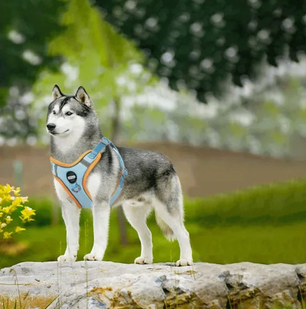 Uprząż dla psa xxs