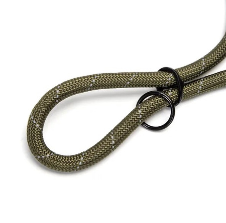 Smycz dla psa 200 cm 