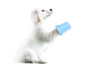 Czyścik do mycia łap