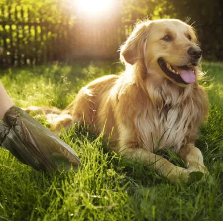 Biodegradowalne worki na psie odchody 3 rolki