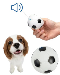  Piłka nożna zabawka dla psa 