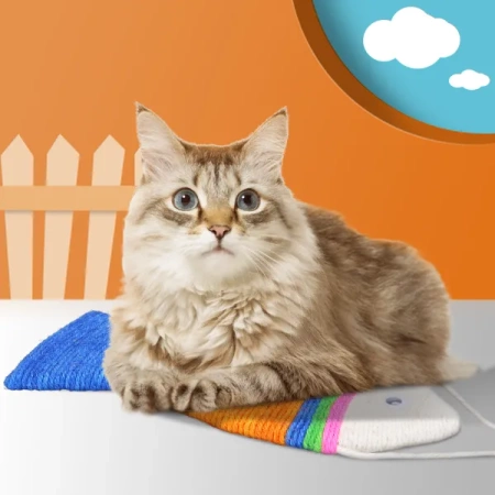 Zabawka dla kota rybka kolorowa